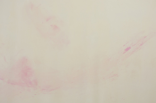 TENDER MOTHER, 2018, rubber, pigment, 210x250x250 cm, Installation View: "Pia Mater", 18th Street Arts Center, Los Angeles, 2018