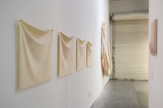 FRAGMENTS OF SUBROSA, 2018, rubber, pigment, each 66x54 cm, Installation view: "Pia Mater", 18th Street Arts Center, Los Angeles, 2018